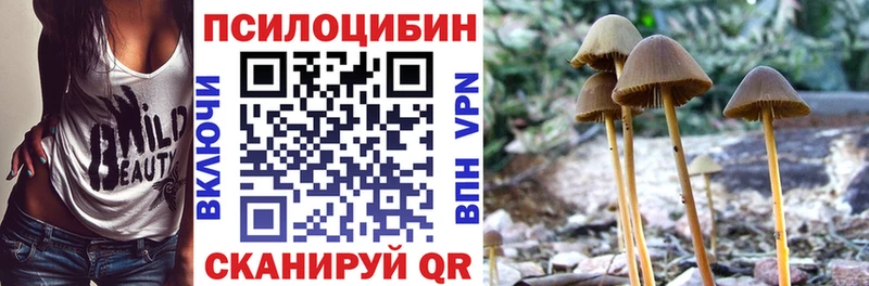 даркнет сайт  Сим  Галлюциногенные грибы Cubensis 